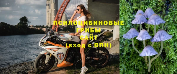 apvp Абдулино