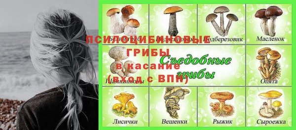 apvp Абдулино