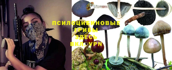 apvp Абдулино